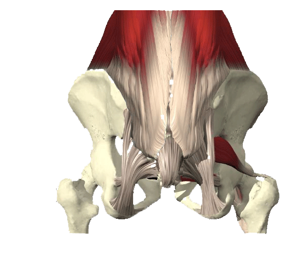 Hip Pain at NOCC